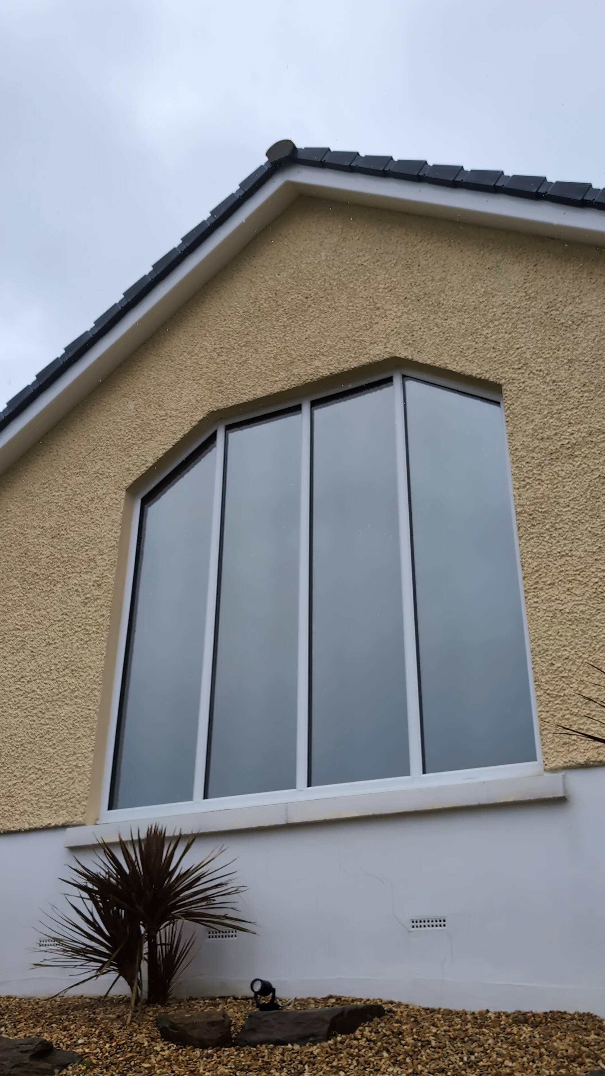 Home Tinting